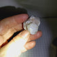 Clam Shell Opal - 55.08ct - Hand Select Gem Rough
