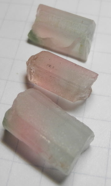 bi-color tourmaline - 35.8ct - Hand Select Gem Rough - prettyrock.com