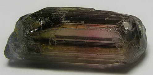 Bi-color Tourmaline - 12.1ct - Hand Select Gem Rough - prettyrock.com