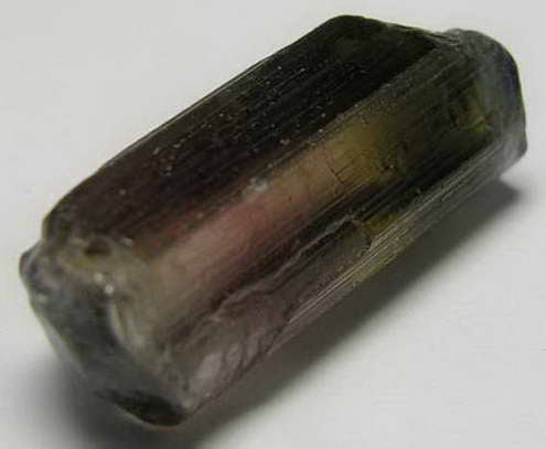 Bi-color Tourmaline - 12.1ct - Hand Select Gem Rough - prettyrock.com