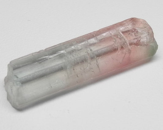 Bi-Color Tourmaline - 11.77ct - Hand Select Gem Rough - prettyrock.com