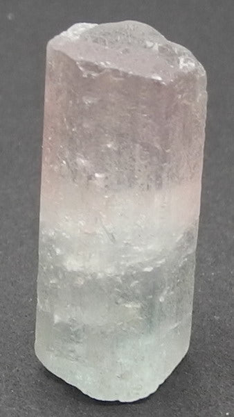 Bi-Color Tourmaline - 16.84ct - Hand Select Gem Rough - prettyrock.com