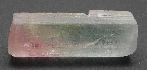 Bi-Color Tourmaline - 28.31ct - Hand Select Gem Rough - prettyrock.com