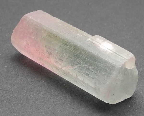 Bi-Color Tourmaline - 28.31ct - Hand Select Gem Rough - prettyrock.com