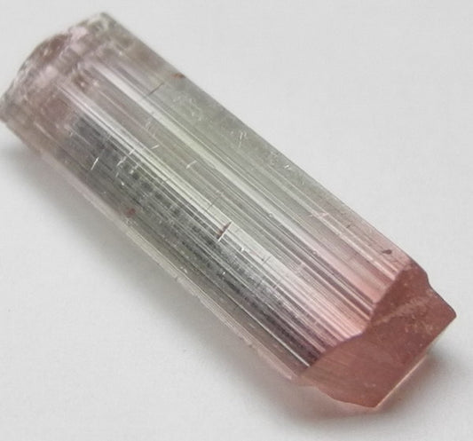 Bi-Color Tourmaline - 4.61ct - Hand Select Gem Rough - prettyrock.com