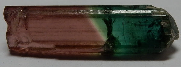 Bi-Color Tourmaline - 13.23ct - Hand Select Gem Rough - prettyrock.com