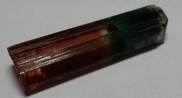 Bi-Color Tourmaline - 13.23ct - Hand Select Gem Rough - prettyrock.com