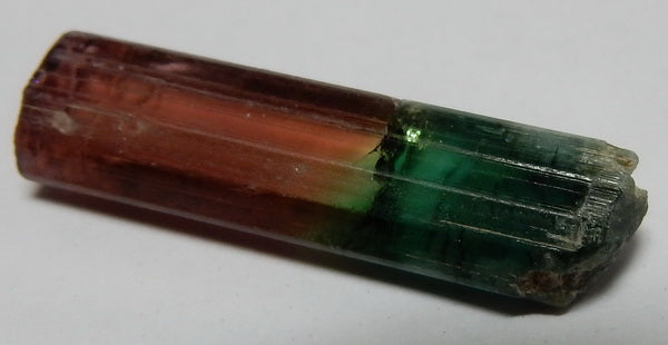 Bi-Color Tourmaline - 13.23ct - Hand Select Gem Rough - prettyrock.com