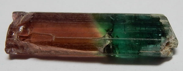 Bi-Color Tourmaline - 13.23ct - Hand Select Gem Rough - prettyrock.com