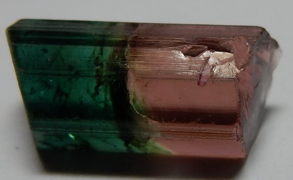 Bi-Color Tourmaline - 11.27ct - Hand Select Gem Rough - prettyrock.com