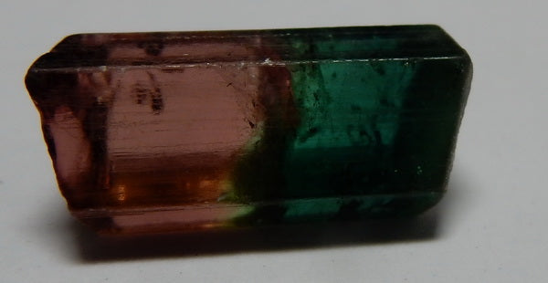 Bi-Color Tourmaline - 11.27ct - Hand Select Gem Rough - prettyrock.com
