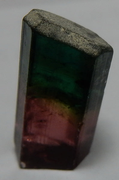 Bi-Color Tourmaline - 11.27ct - Hand Select Gem Rough - prettyrock.com
