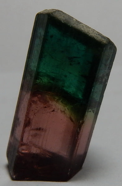 Bi-Color Tourmaline - 11.27ct - Hand Select Gem Rough - prettyrock.com