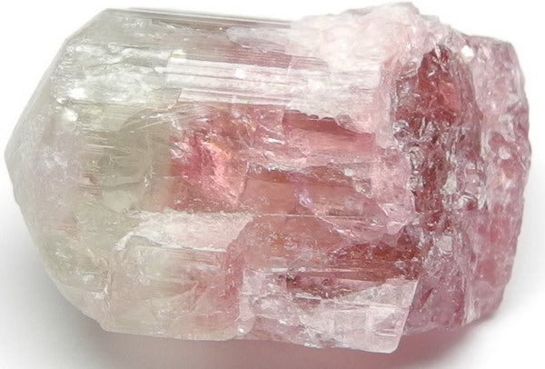 Bi-color Tourmaline - 23.9ct - Hand Select Gem Rough - prettyrock.com