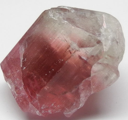 Bi-color Tourmaline - 23.9ct - Hand Select Gem Rough - prettyrock.com