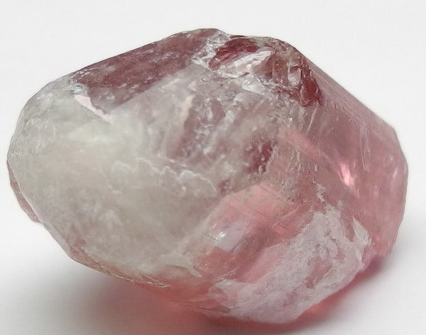 Bi-color Tourmaline - 23.9ct - Hand Select Gem Rough - prettyrock.com