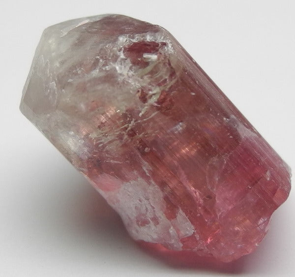 Bi-color Tourmaline - 23.9ct - Hand Select Gem Rough - prettyrock.com
