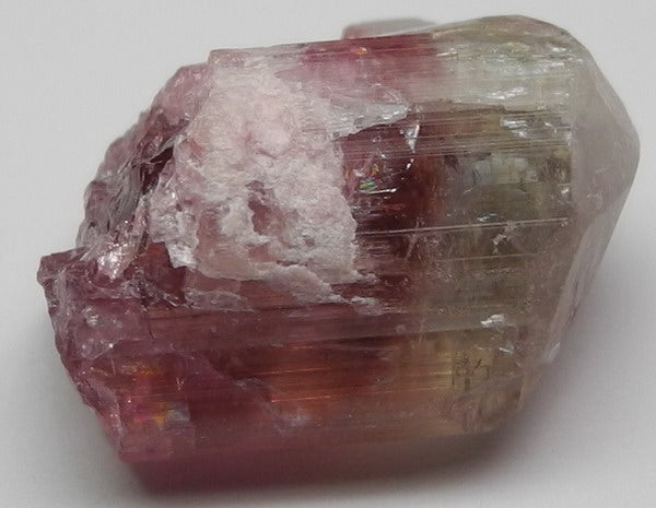 Bi-color Tourmaline - 23.9ct - Hand Select Gem Rough - prettyrock.com