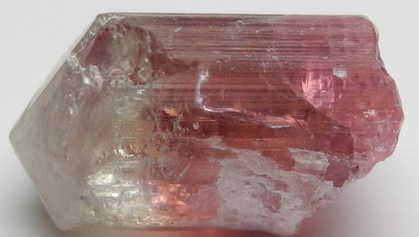 Bi-color Tourmaline - 23.9ct - Hand Select Gem Rough - prettyrock.com