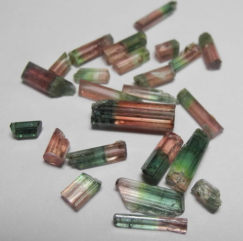 Bi-color Tourmaline - 14.62ct - Hand Select Gem Rough - prettyrock.com