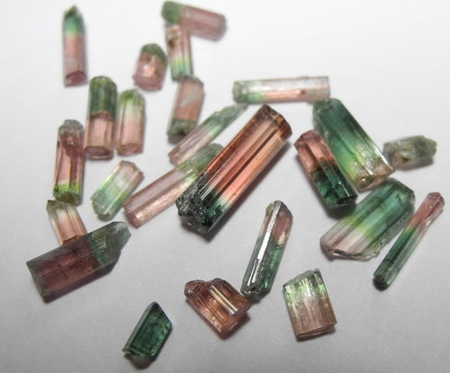 Bi-color Tourmaline - 14.62ct - Hand Select Gem Rough - prettyrock.com