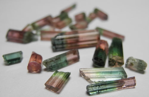 Bi-color Tourmaline - 14.62ct - Hand Select Gem Rough - prettyrock.com