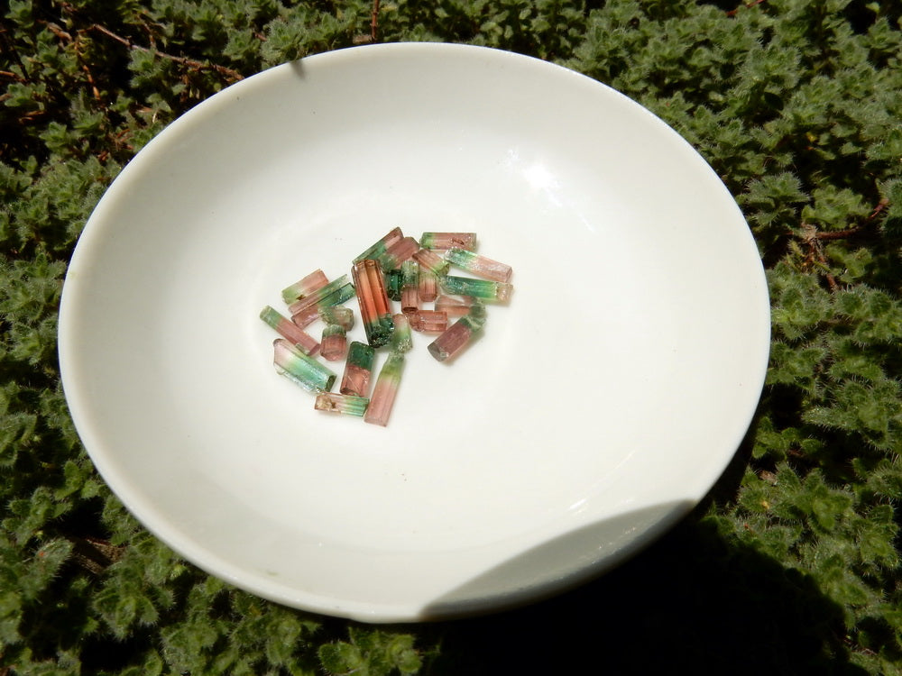 Bi-color Tourmaline - 14.62ct - Hand Select Gem Rough - prettyrock.com