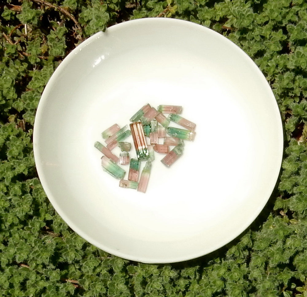 Bi-color Tourmaline - 14.62ct - Hand Select Gem Rough - prettyrock.com