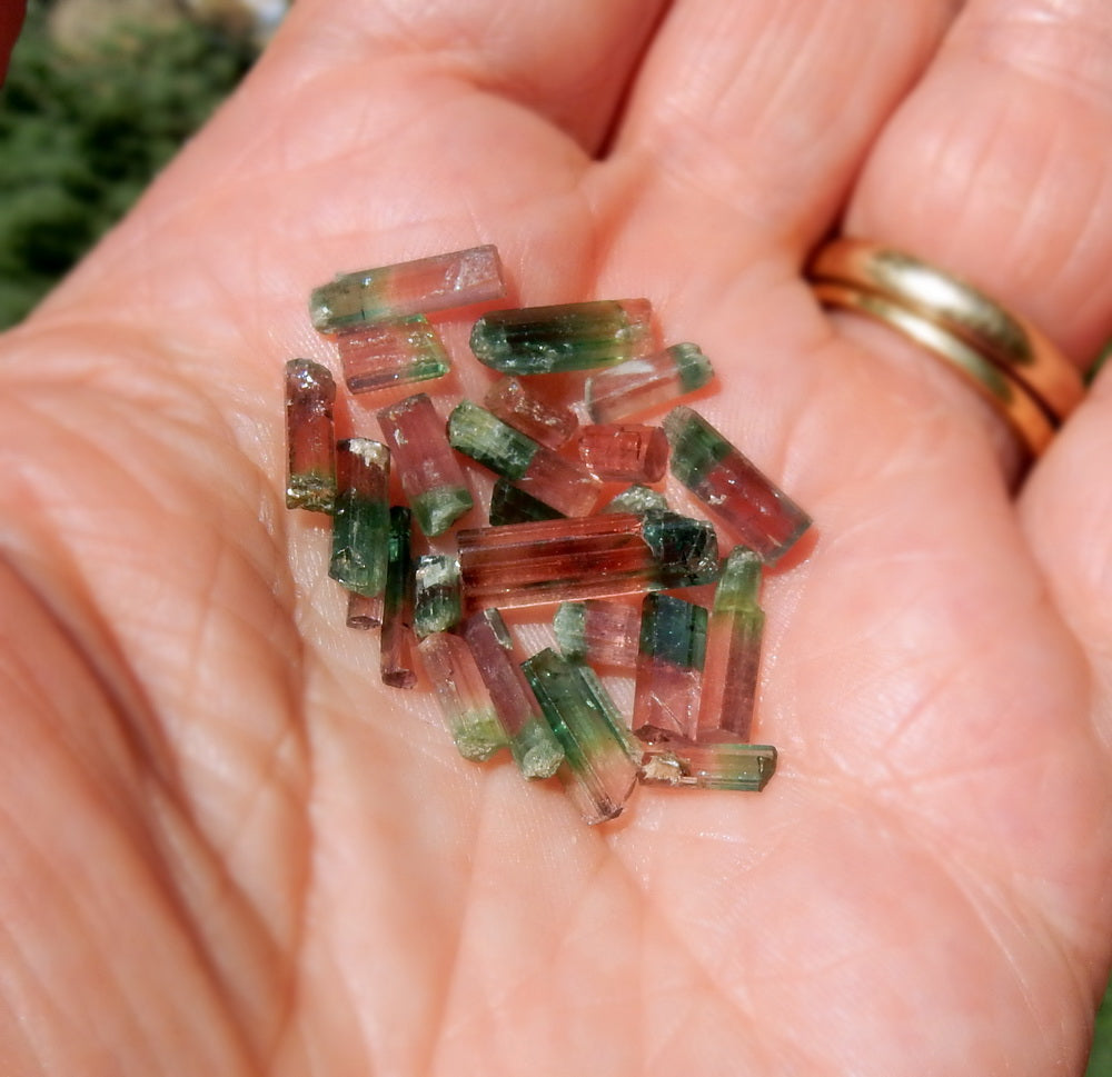 Bi-color Tourmaline - 14.62ct - Hand Select Gem Rough - prettyrock.com