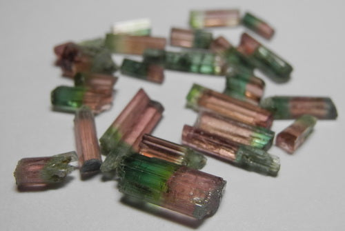Bi-color Tourmaline - 16.64ct - Hand Select Gem Rough - prettyrock.com