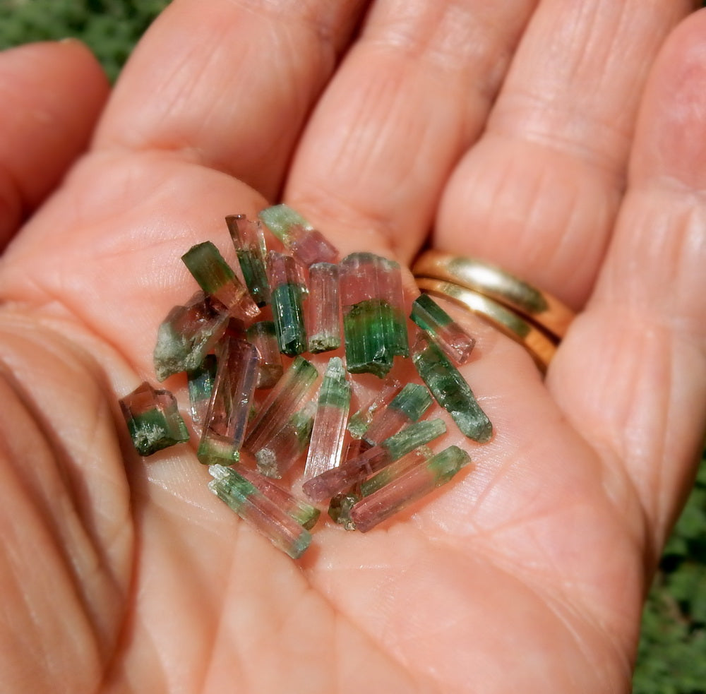 Bi-color Tourmaline - 16.64ct - Hand Select Gem Rough - prettyrock.com