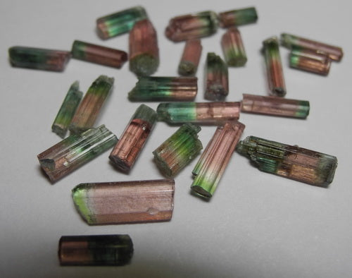 Bi-color Tourmaline - 14.33ct - Hand Select Gem Rough - prettyrock.com