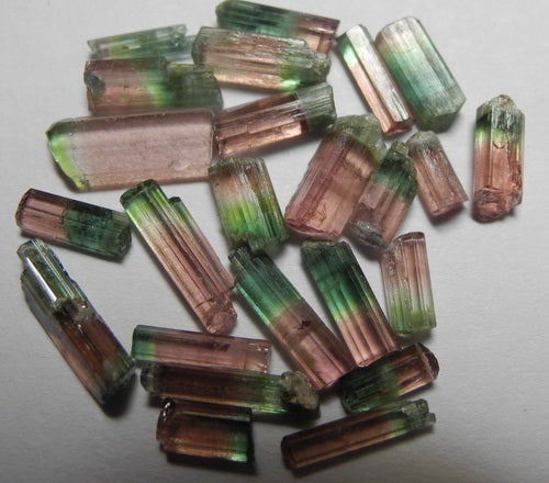 Bi-color Tourmaline - 14.33ct - Hand Select Gem Rough - prettyrock.com