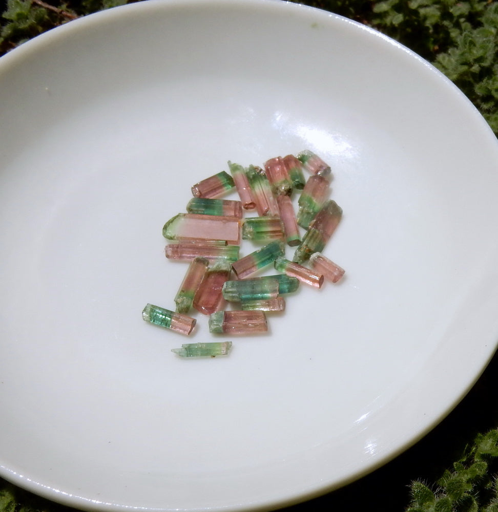 Bi-color Tourmaline - 14.33ct - Hand Select Gem Rough - prettyrock.com