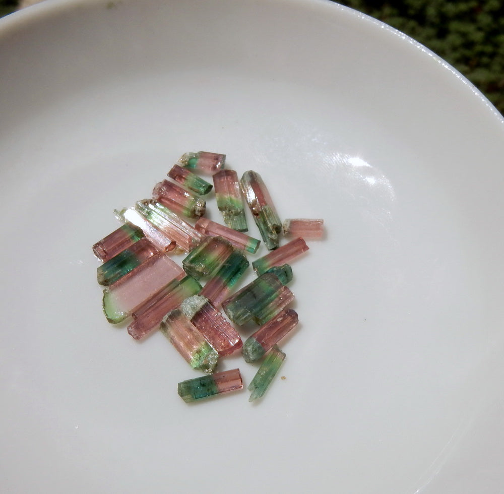 Bi-color Tourmaline - 14.33ct - Hand Select Gem Rough - prettyrock.com