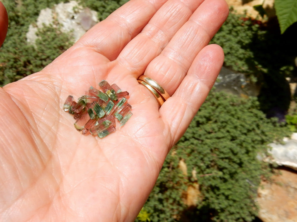 Bi-color Tourmaline - 14.33ct - Hand Select Gem Rough - prettyrock.com