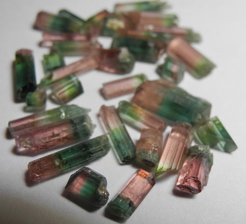 Bi-color Tourmaline - 20.59ct - Hand Select Gem Rough - prettyrock.com
