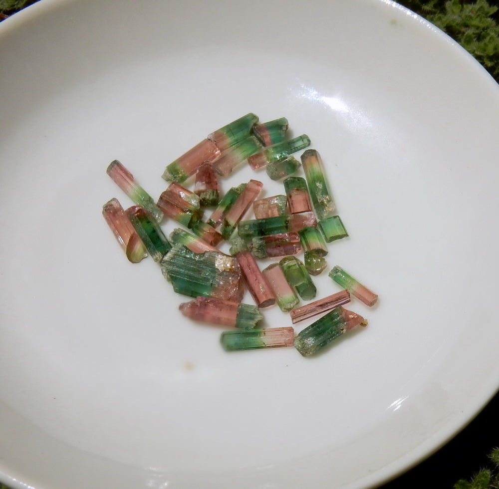 Bi-color Tourmaline - 20.59ct - Hand Select Gem Rough - prettyrock.com