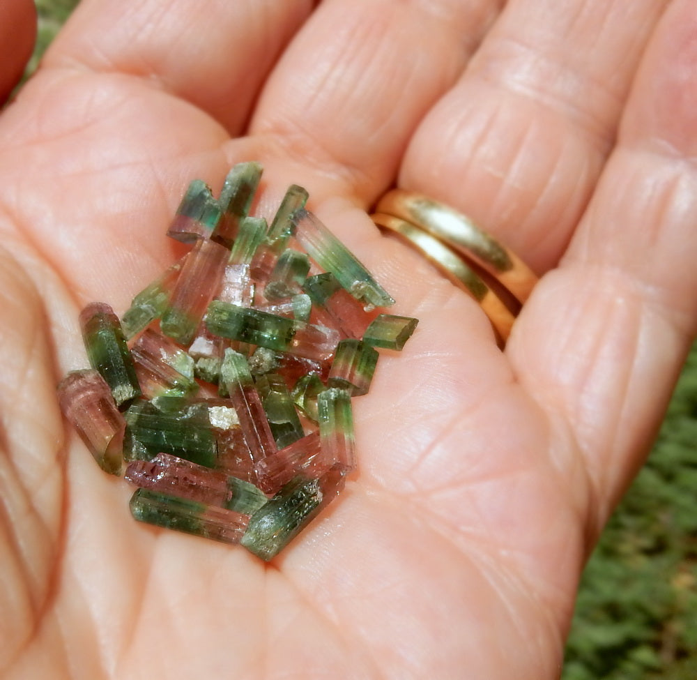 Bi-color Tourmaline - 20.59ct - Hand Select Gem Rough - prettyrock.com