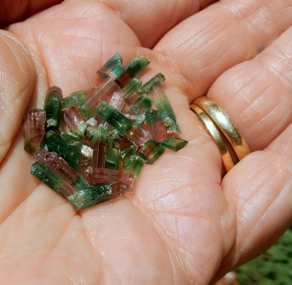 Bi-color Tourmaline - 20.59ct - Hand Select Gem Rough - prettyrock.com