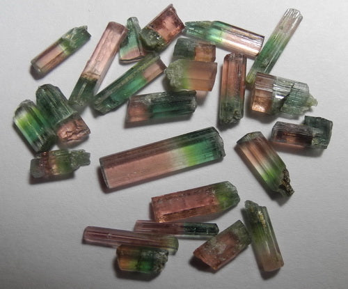 Bi-color Tourmaline - 16.22ct - Hand Select Gem Rough - prettyrock.com