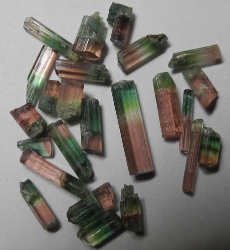 Bi-color Tourmaline - 16.22ct - Hand Select Gem Rough - prettyrock.com