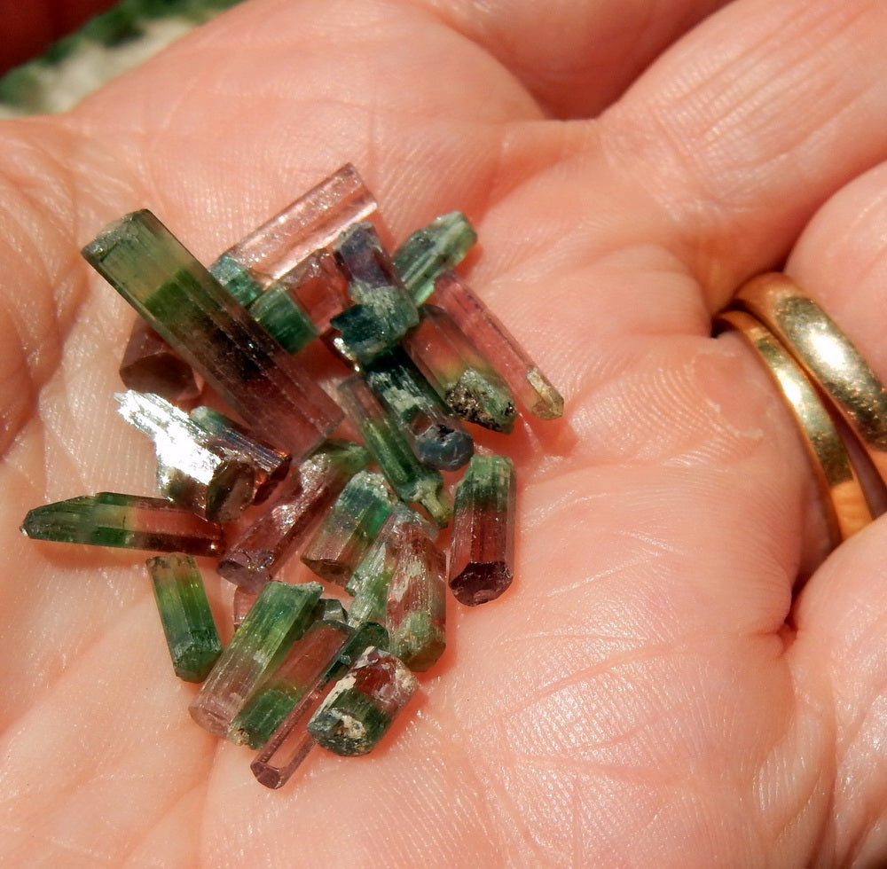 Bi-color Tourmaline - 16.22ct - Hand Select Gem Rough - prettyrock.com