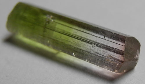 Bi-color Tourmaline - 3.25ct - Hand Select Gem Rough - prettyrock.com