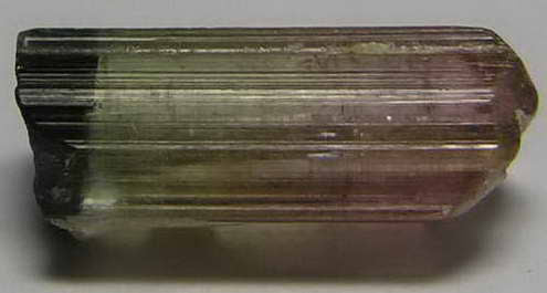 Bi-Color Tourmaline - 7.75ct - Hand Select Gem Rough - prettyrock.com