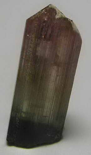 Bi-Color Tourmaline - 7.75ct - Hand Select Gem Rough - prettyrock.com
