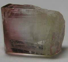 Bi-color Tourmaline - 6ct - Hand Select Gem Rough - prettyrock.com