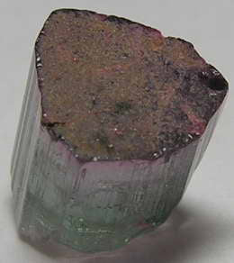 Bi-Color Tourmaline - 7.41ct - Hand Select Gem Rough - prettyrock.com