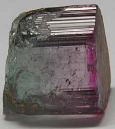 Bi-Color Tourmaline - 7.41ct - Hand Select Gem Rough - prettyrock.com