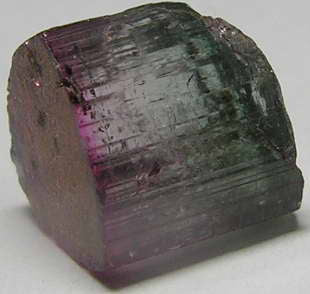 Bi-Color Tourmaline - 7.41ct - Hand Select Gem Rough - prettyrock.com